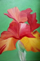 /album/fotogalerij/img-0575-jpg/