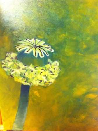 uitgebloeide papaver